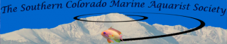 Southern Colorado Marine Aquarist Society